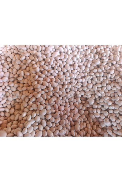 ŞEKER FASULYE 2KG
