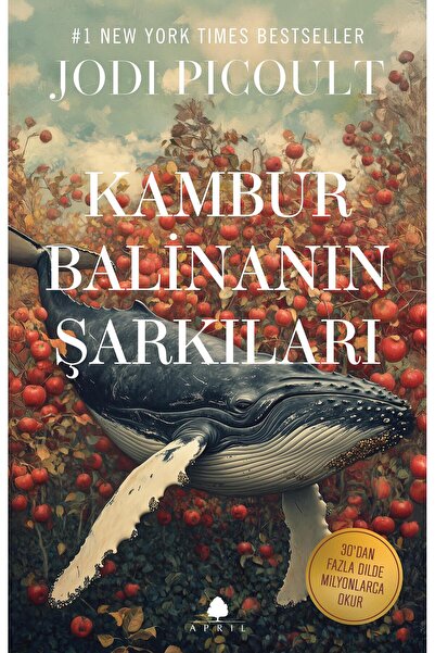 April Yayıncılık Kambur Balinanın Şarkıları - Jodi Picoult