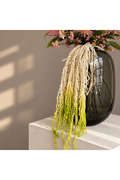 Dekorsende Şoklanmış Amarantus (Amaranthus) Krem Yeşil 60 cm