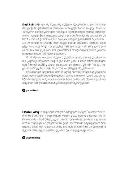 Ötüken Neşriyat Nane Molla ve Tersiyer / Emel Balı