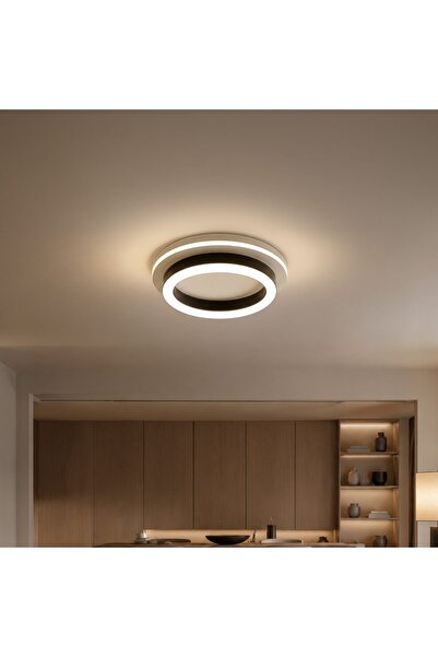 SELEXMO Lustra LED MODERNA 25W, Diametru 20cm, Rotunda, lumina Rece/Calda/Neu...