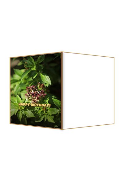 OEM Felicitare Aniversare Frunze Proaspete de Marjoram, Design Botanic, 13.3x...