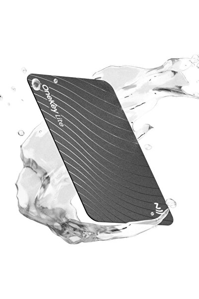 OneKey Lite Crypto Seed Backup Card — NFC Recovery Phrase Storage, EAL6+ Secu...