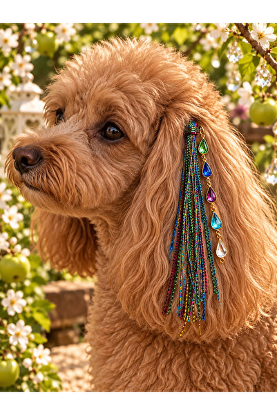 LOOL PREMİUM Köpek tokası ipli köpek toka simli rasta hippi