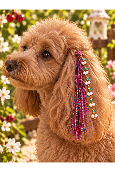 LOOL PREMİUM Köpek tokası ipli köpek toka simli rasta hippi
