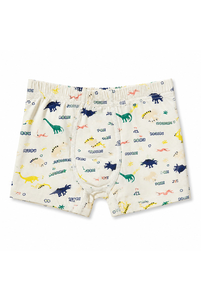 hepbaby Erkek Çocuk %100 Pamuklu Dinozor Desenli Boxer 3'lü Paket Çok Renkli 2-9 Yaş
