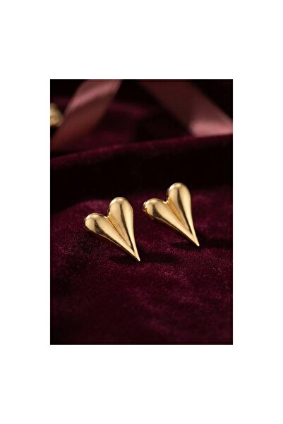 evimdeyokyok 316L Steel Gold Color Heart Model Earrings Tj-Bkp12015