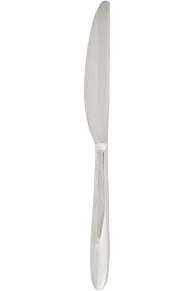 Winsor ST. STEEL DESSERT KNIFE