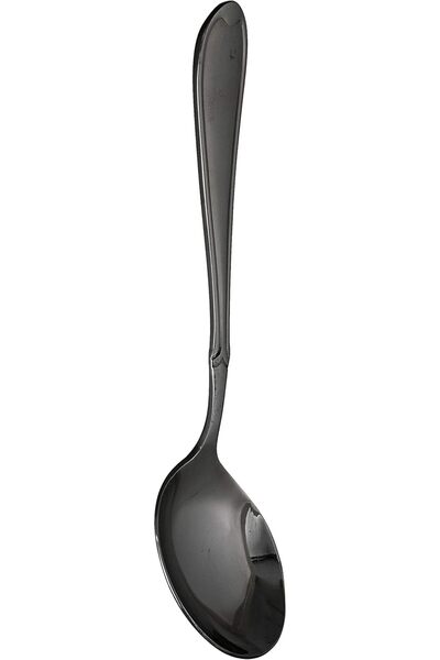 Winsor 18/10 Stainless Steel Soup Spoon Proud,Silver