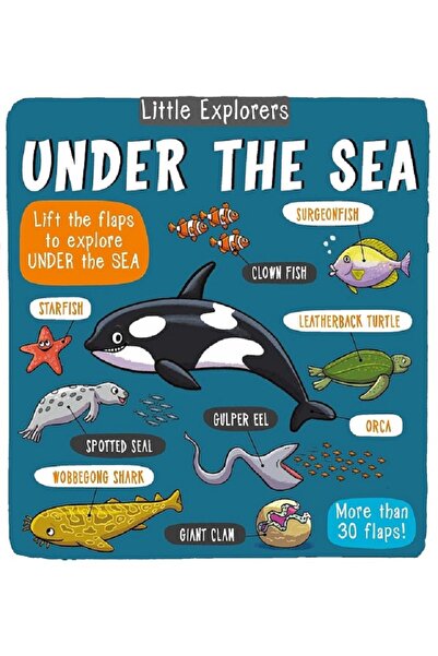 Jarir Bookstore LITTLE EXPLORERS: UNDER THE SEA By Little Bee Books