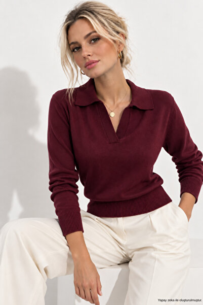 WILD BEE Women's Plum Polo Collar Long Sleeve Knitwear Blouse
