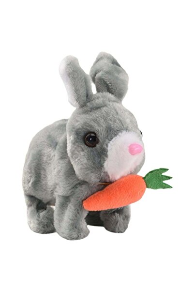 Generic Electronic Plush Rabbit Interactive Pet with Carrot, Touch Control fo...