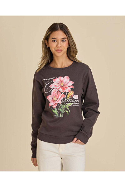 REDTAG Senior Girls Brown Floral Graphic Sweatshirt