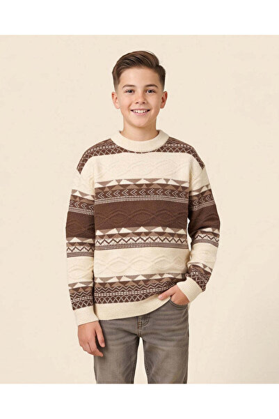 REDTAG Senior Boys Brown Striped Crew Neck Pullover