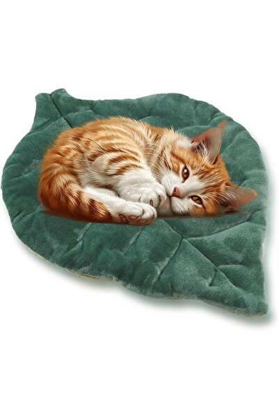 EXCEFORE Premium Pet Blankets, Super Soft & Warm 25"x18" Fluffy Bed for Cats ...
