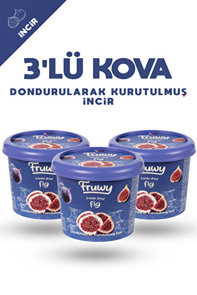 fruwy Freeze Dried İncir 3’lü Kova