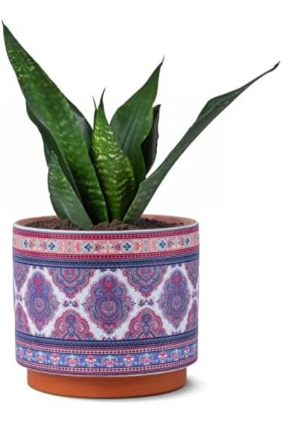 sultan garden center أواني زهور داخلية وخارجية من SGC للمنزل والحديقة، ديكور ...
