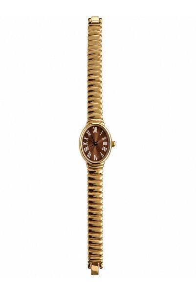 Eylemboutique Women's Oval Dial Roman Numeral Elegant Wristwatch – Gold & Bit...
