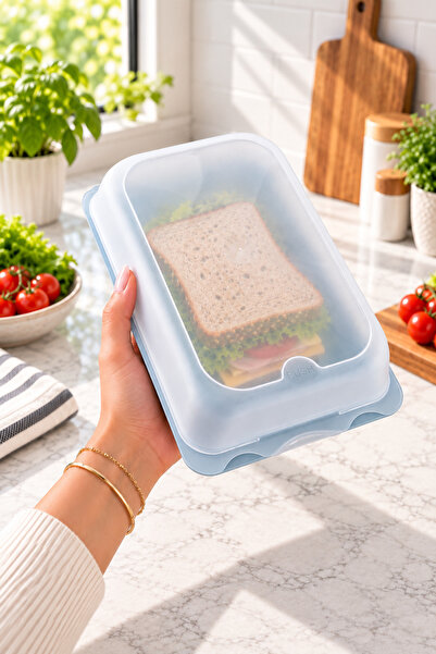 Sariva Home Large Deli Storage Container with Lid Sandwich Bread Breakfast Preservation Box