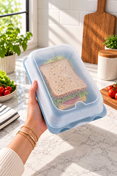 Sariva Home Large Deli Storage Container with Lid Sandwich Bread Breakfast Preservation Box
