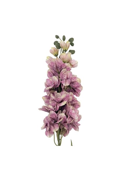 Ambalaje Flori Online Delphinium Vintage 89cm Crem Liliac