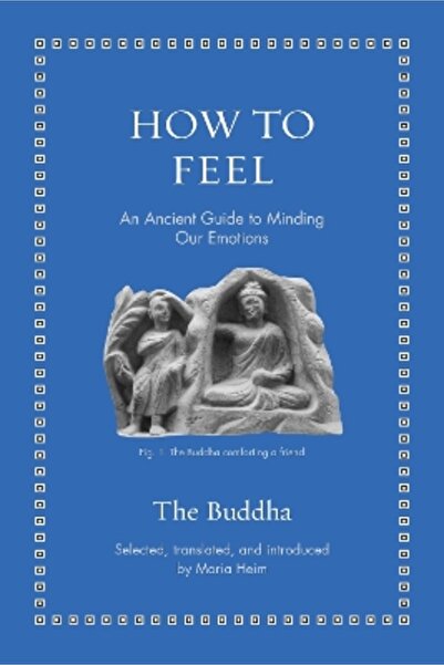 Princeton University Press How to Feel: An Ancient Guide to Minding Our Emotions