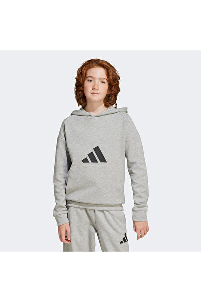 adidas Gri Unisex Çocuk Sweatshirt J FI LOGO HD JJ4788
