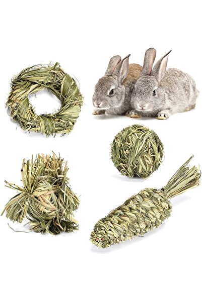TERRIFI Rabbit Timothy Grass Ball Set, Natural Ring Small Animal Activity Pla...