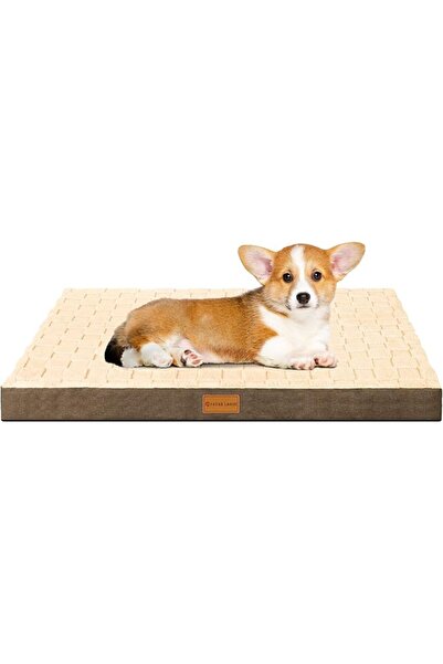 patasyum Patas Lague Orthopedic Dog Bed for Small Dogs 51x38cm, Waterproof So...