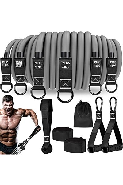 GENERAL Lifava Resistance Band Set, 300 Lbs Heavy Duty Exercise Band with Han...