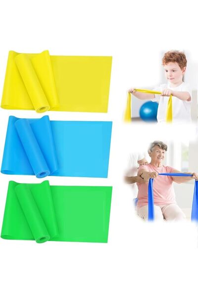 Bukela Resistance Bands Set, 3 Pcs Exercise Bands, Work Out Stretch Bands for...