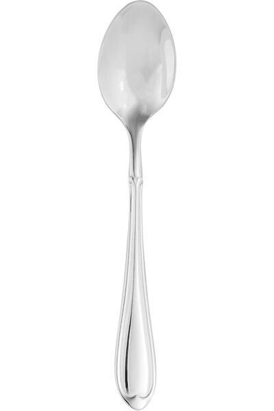 Winsor Stainless Steel 18/10 Tea Spoon Proud,Silver