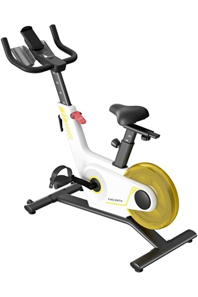 Walkingpad Spin Bike PB08S - Silent Stationary Bike for Indoor Use, Home Gym,...