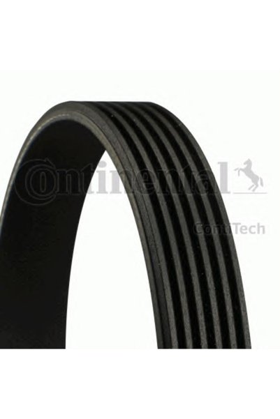 CONTITECH BMW 5 E 60 6 PK 2160 Ιμάντας μετάδοσης κίνησης