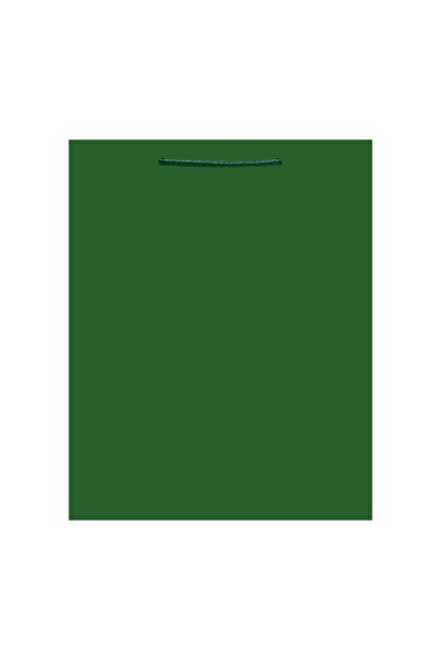 Strigo Paper gift bag, 26x32.5x12.5 cm, 210 gsm. Drawstring handle.