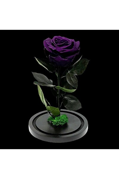 Trandafir Criogenat Trandafir mov conservat în cupolă 12 x 25 cm