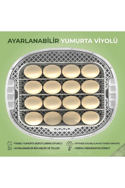 Altın Kuluçka 16'lı Tam Otomatik Kuluçka Makinesi (Çok Amaçlı Viyol Tasarımı)