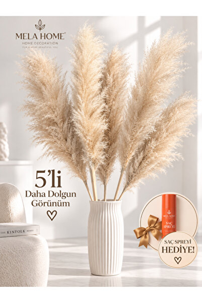 MELA 5li XXL Pofuduk & Kabarık Bohem Design Büyük Orjinal Doğal Kuru Pampas I...