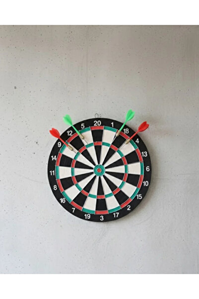 SS HOME CONCEPT 17 Inch Professional Dart Board Durable Construction and 4 Me...