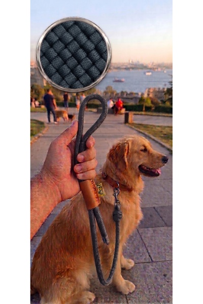 Ahmet Faik Deri Köpek Gezdirme Tasması - Gri - 120cm
