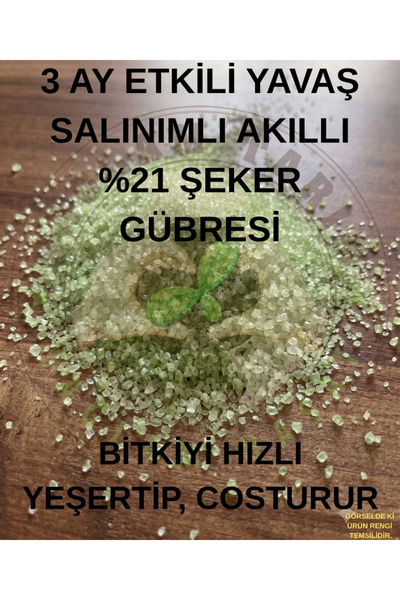 Saglam Tarım Yavaş Salınımlı (N21 - DCD) Amonyum, Akıllı Çim Gübresi 1,5 Kg.