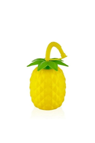 SS HOME CONCEPT Pineapple Drinker with Straw