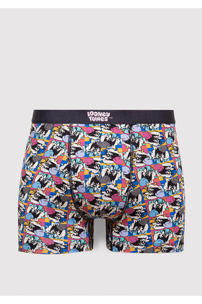 Mavi Tazmanya Canavarı Baskılı Boxer 0911984-34621