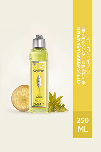 L'Occitane Citrus Verbena Şampuan, Tüm Saç Tipleri için, Mine Çiçeği ve Limon...