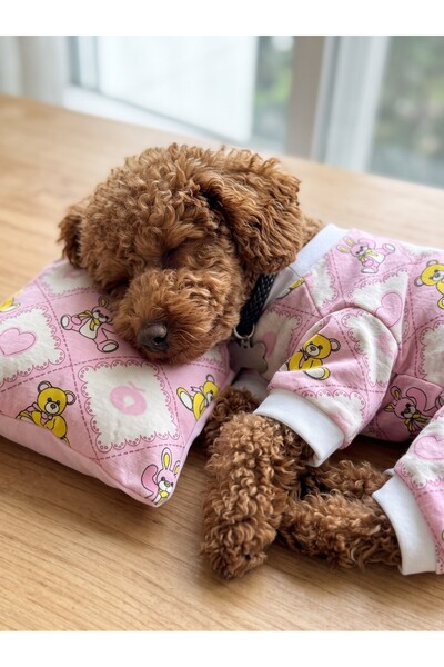 Kemique Toad Teddy Penye Tulum Yastık Takım Uyku Set Köpek Tulum Elbise