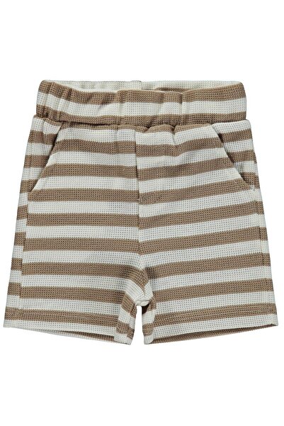 Civil Baby Striped 6-18 Months Shorts - Brown