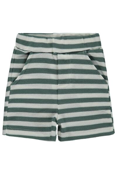 Civil Baby Striped 6-18 Months Shorts - Green