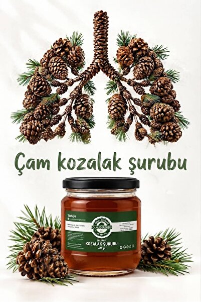 Çamlıdereden Doğal Ürünler Şekersiz Çam Kozalağı Şurubu 400 gr