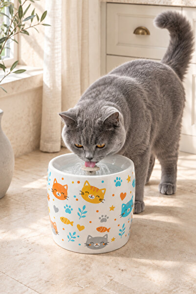 Pawicci Kedi Köpek Porselen Su Pınari Otomatik Filtreli Pompa Seramik 1,3 L LED Işıklı USB Adaptörlü Su Sebili