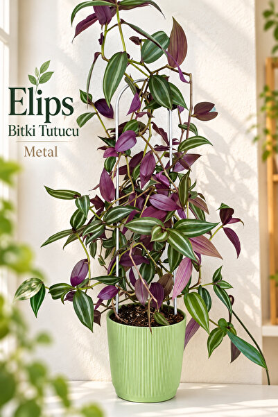 VENON 1 Adet METAL || ELİPS || 9x48 Bitki Gövde Destek Sabitleme Dikey Büyüme...